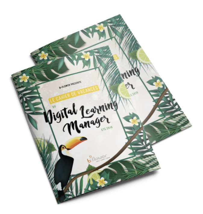 Cahier_de_vac_du_DLM Cahier_de_vac_du_DLM